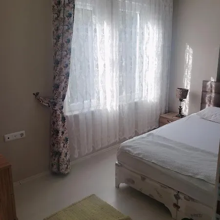 Amira T Villa